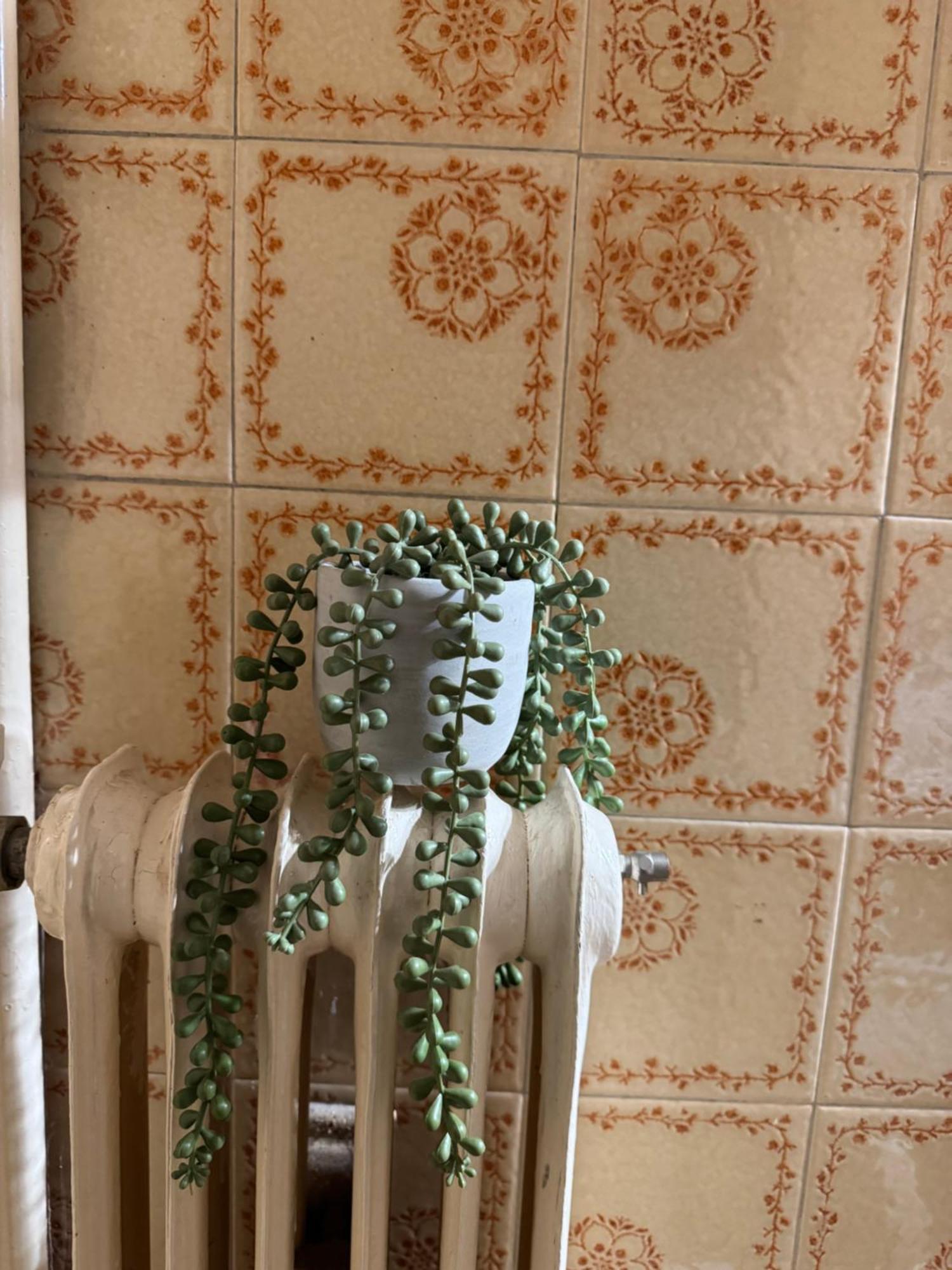 Apollo Apartment Athens/Airport Spáta エクステリア 写真